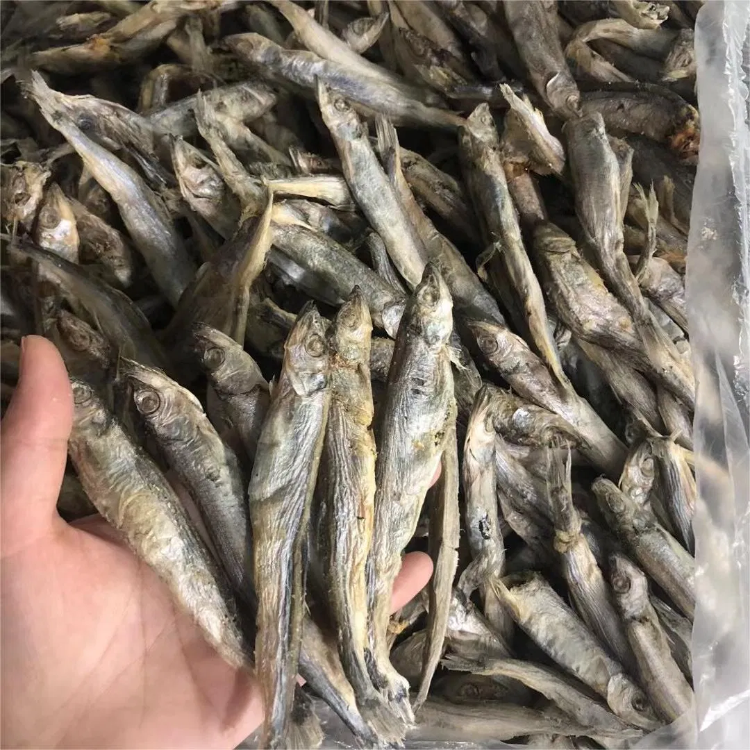 مصنع إزتشونغ للحيوانات الأليفة جملة وجبة خفيفة للكلاب وعلاج للقطط مجفف بالتجميد من سمك الربيع طعام حيوانات أليفة