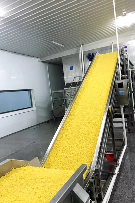Frozen Corn 2