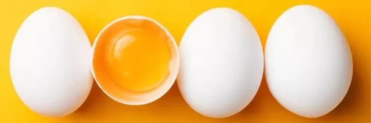 مسحوق ليسيثين صفار البيض