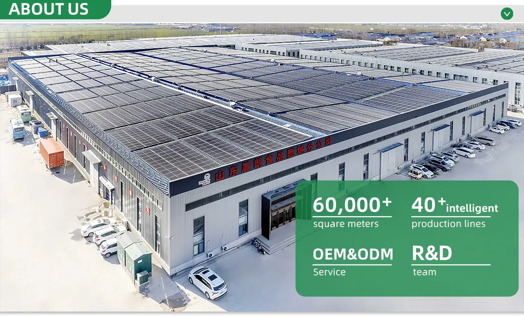 Company Facility