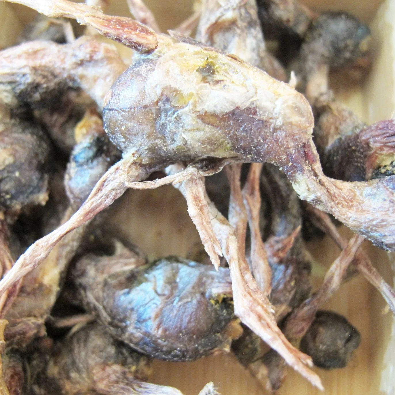 مكافأة صحية للكلاب من سمك الروبيان المجفف بالتجميد، وجبة خفيفة للقطط، طعام للحيوانات الأليفة