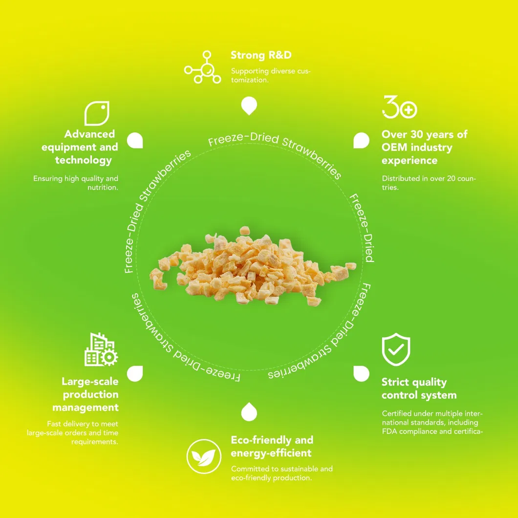 Freeze Dried Pineapple Slices
