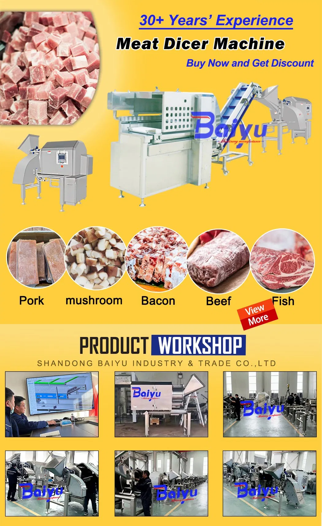 Meat Dicing Machine 2