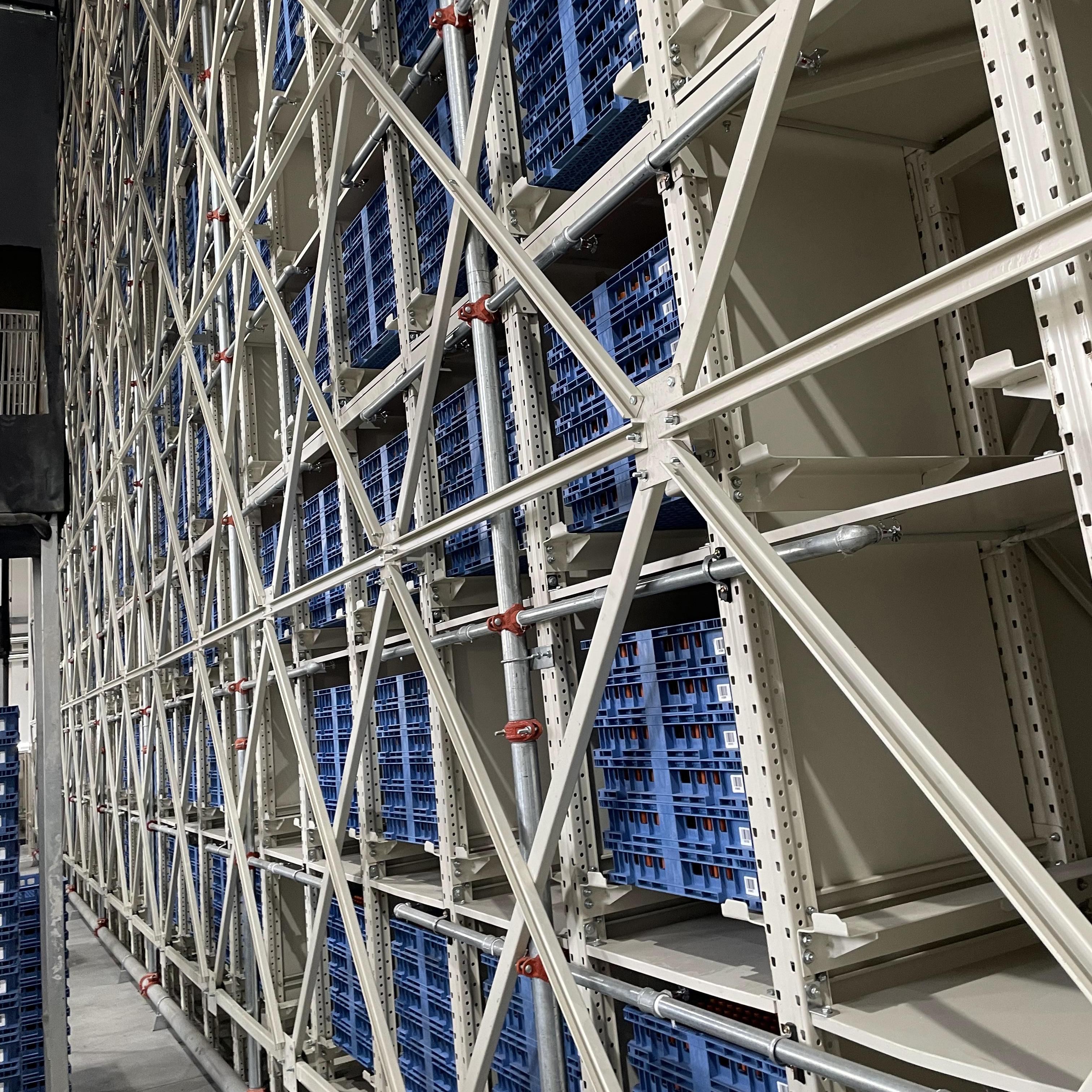 Jracking Heavy Duty ASRS Warehouse Stacking Racks Automatic Retrieval Storage Racking System for Cold Room Storage