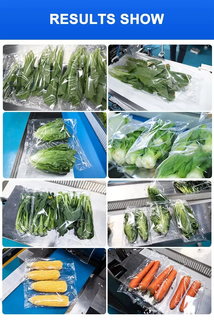 Pillow - Type Horizontal Automatic Biscuit, Candy, Soap and Hard Candy Tissue Paper Packaging Machine.