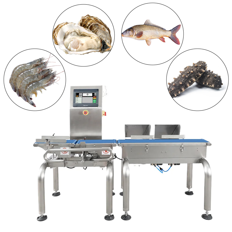 Snack Food High Speed Conveyor Checkweigher Weight Inspection Equipment OEM/ODM Customized SUS Material 0.1g Accuracy
