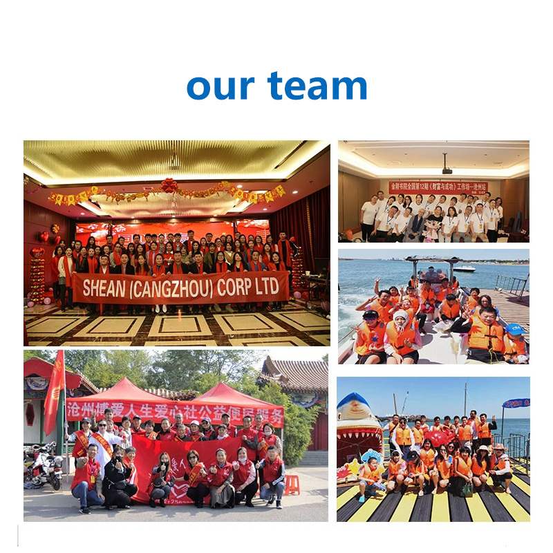 Wrapper Flow Pack Machine Horizontal Packaging Machine Automatic Cookie Bread Wonton Wraps Packing Machine