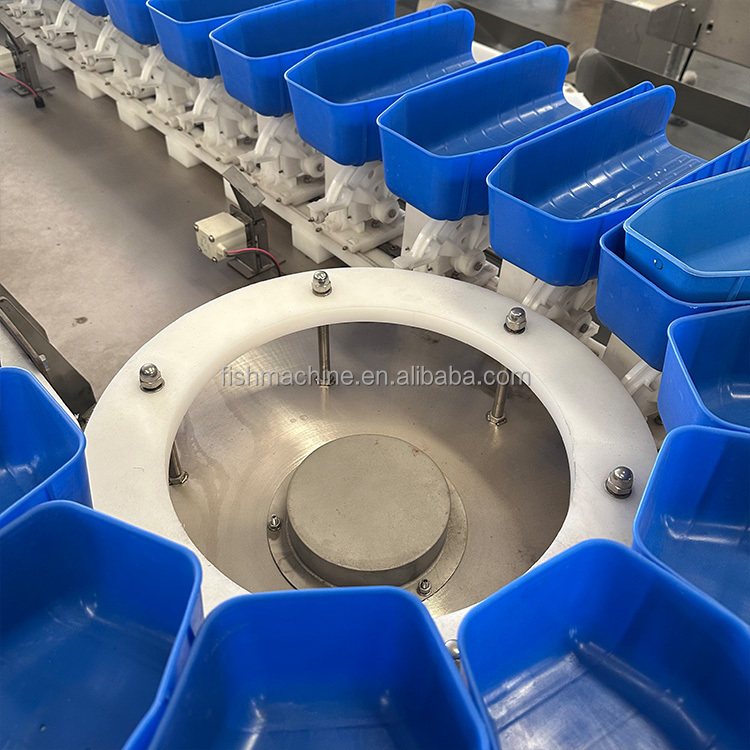 New High Precision Dynamic Weight Checkweigher for Food &amp; Pharma Packaging Line Online Inspection