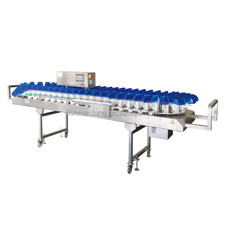 New High Precision Dynamic Weight Checkweigher for Food &amp; Pharma Packaging Line Online Inspection