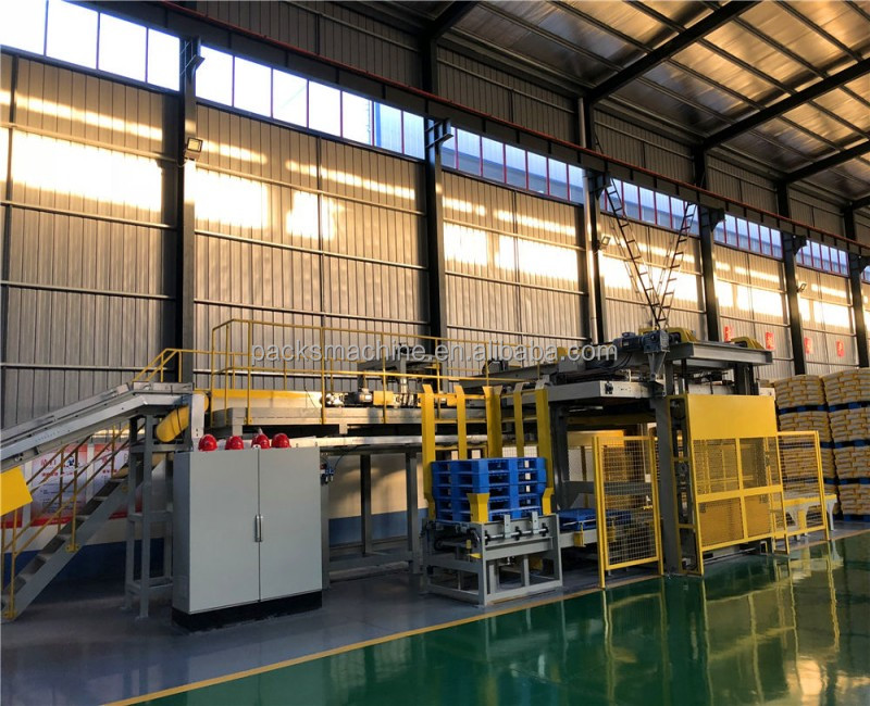 Automatic Palletizer Overview 2