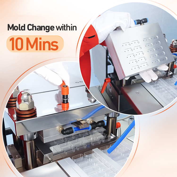 DPP Flat Plate Automatic Packaging Alu Alu PVC Aluminum Plastic Pill Tablet Capsule Blister Packing Machine