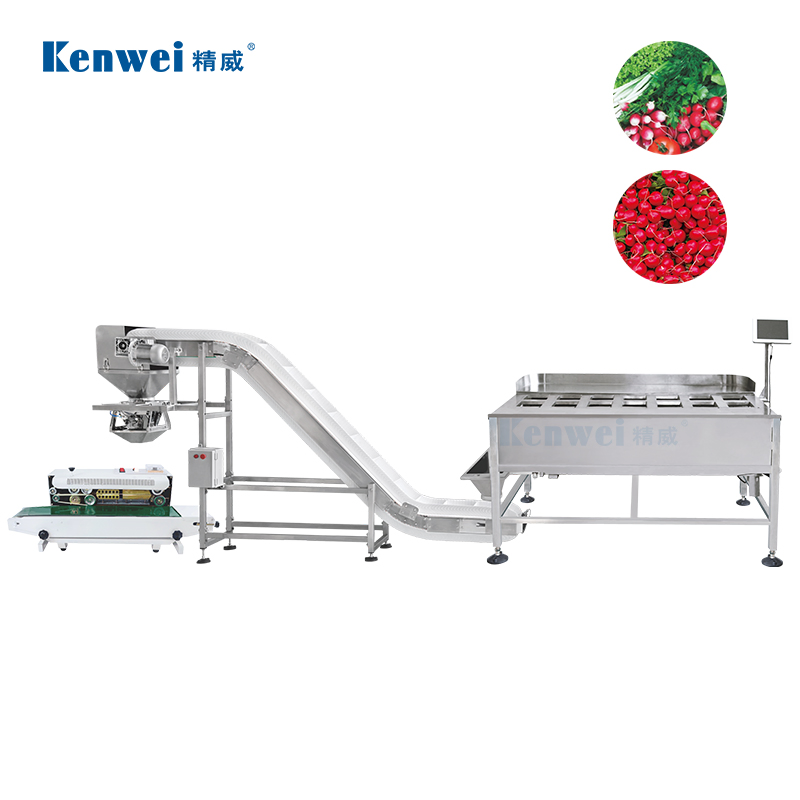 Efficient Form-Fill-Seal System Featuring 14 Head Manual Multihead Weigher Packaging System