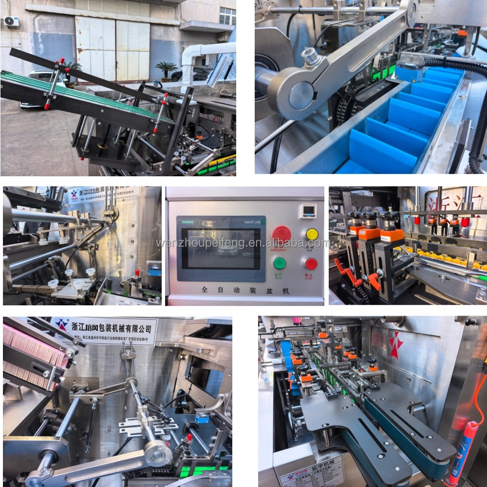 High Speed Automatic Counting Cartooning Machine Carton Packing Machine with feeder device for soap toothpaste