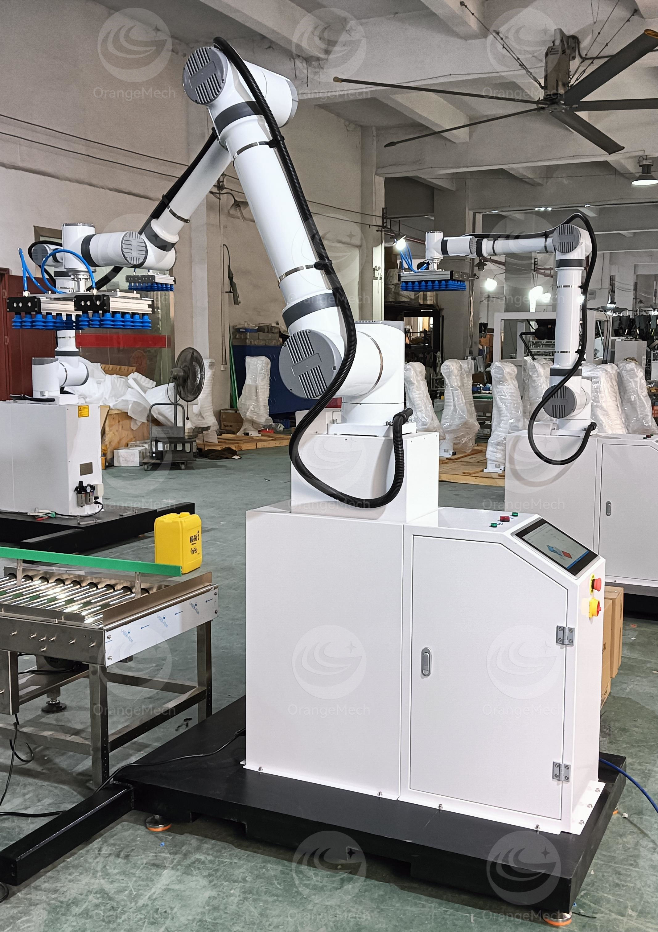 Palletizer System Details 1
