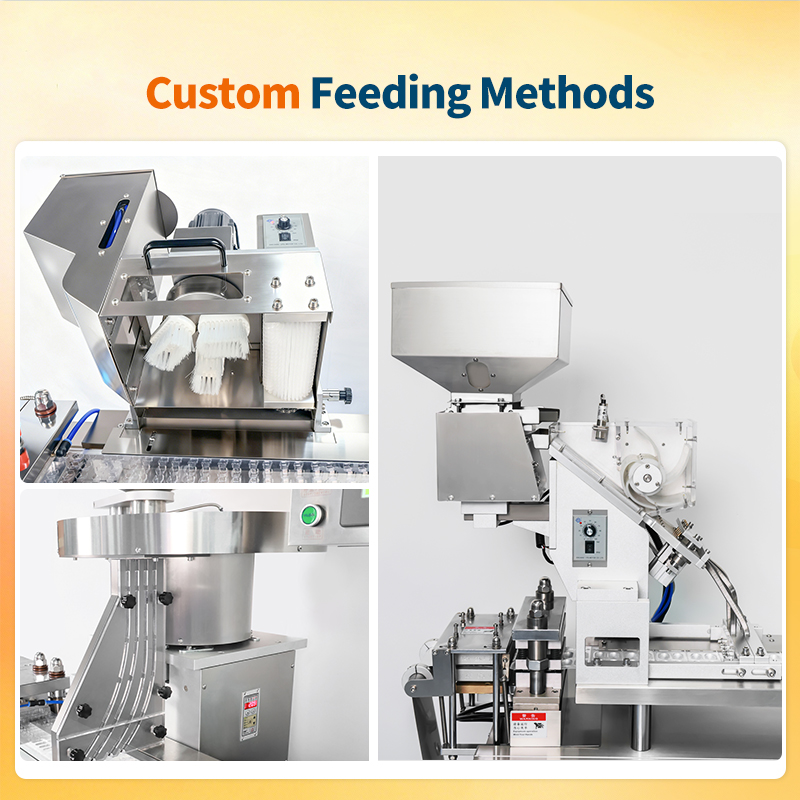 DPP-90R Blister Packaging Machine Full Automatic Electric Food Alu Tablet Capsule Blister Packing Machine With 1P Chiller