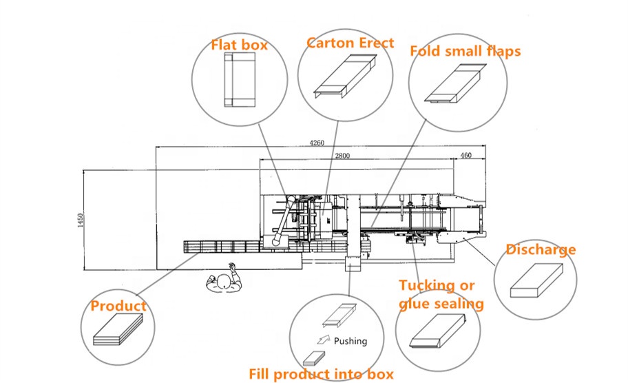Automatic Coffee Capsule Pods Cartooning Paper Box Filling Carton Packing Machine