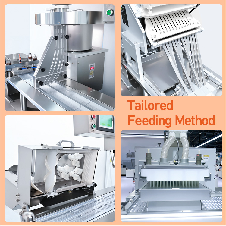 DPP Flat Plate Automatic Packaging Alu Alu PVC Aluminum Plastic Pill Tablet Capsule Blister Packing Machine