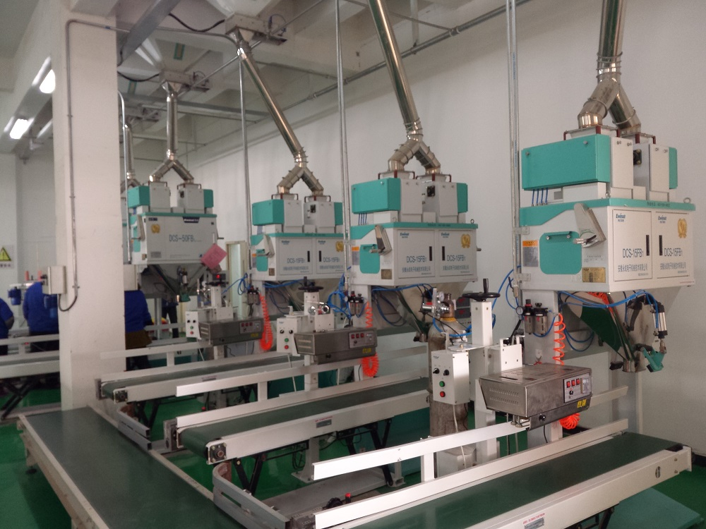 Ewinall Dcs-10zb2 Manual Bagging Machine for Efficient Packing