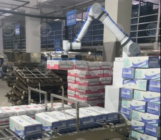 Palletizer System Details 6