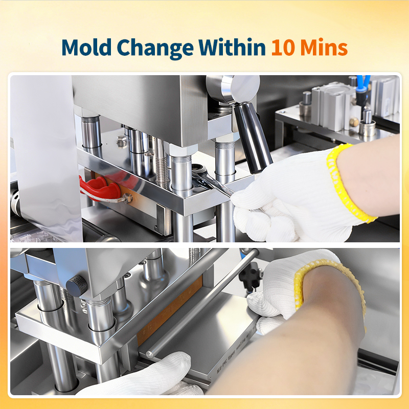 DPP-90R Blister Packaging Machine Full Automatic Electric Food Alu Tablet Capsule Blister Packing Machine With 1P Chiller