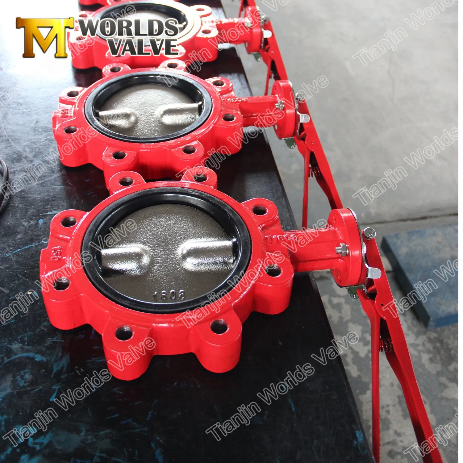 Lug Type Butterfly Valves with Two PCS Stem Pn6-Pn10-Pn16
