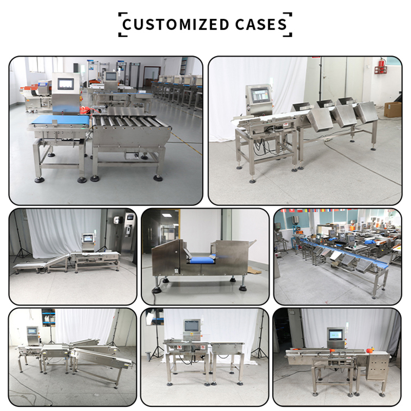 High Accuracy Inline Dynamic Checkweigher Conveyor System for Packaging Line Weight Inspection