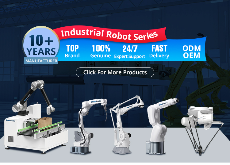 Palletizer Robot