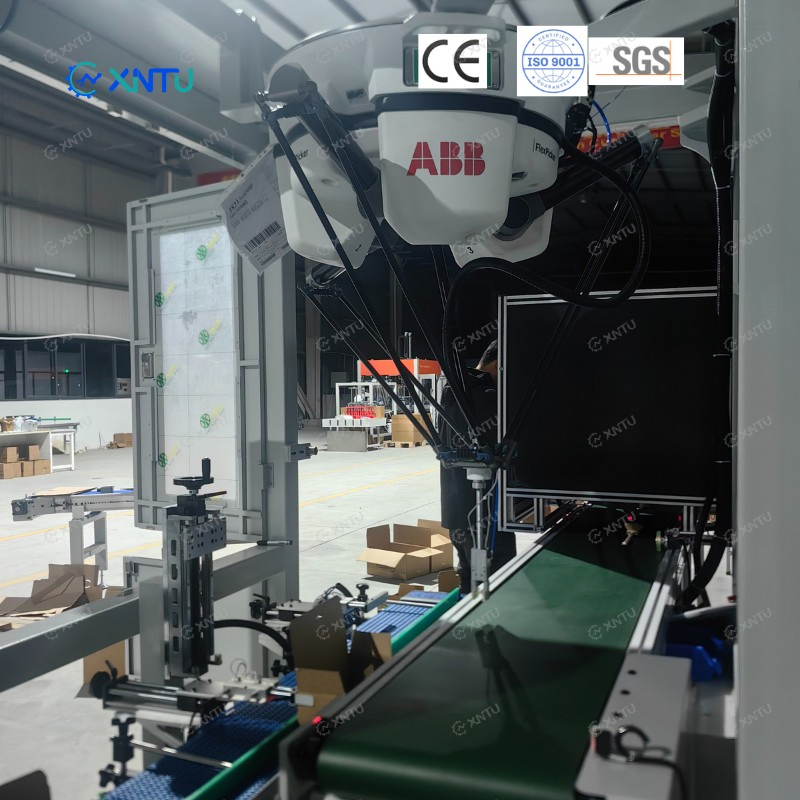 Vision-Guided Spider Delta Robot Case Packer Carton Packing Machine for Nut Standup Bags