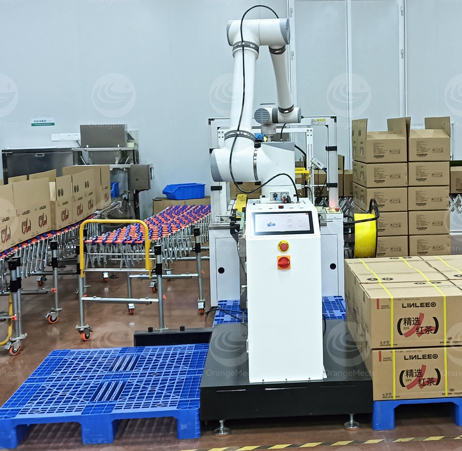 Palletizer System Details 3