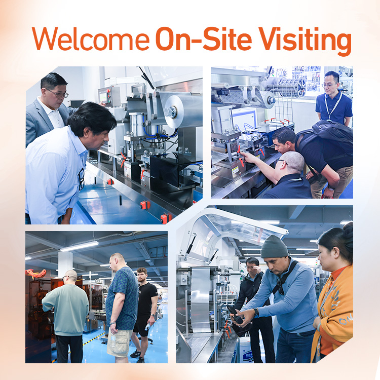 DPP Flat Plate Automatic Packaging Alu Alu PVC Aluminum Plastic Pill Tablet Capsule Blister Packing Machine
