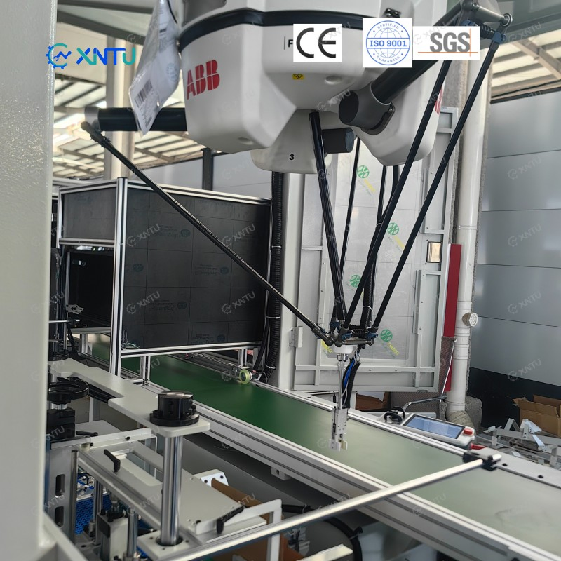 Vision-Guided Spider Delta Robot Case Packer Carton Packing Machine for Nut Standup Bags