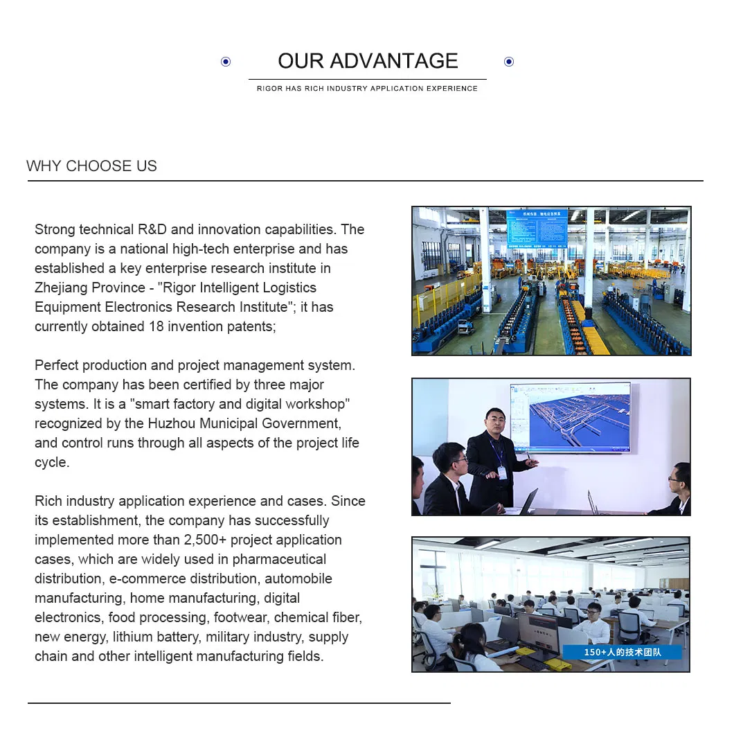 High-Performance Vertical Carton Sorting System for Efficient Conveying