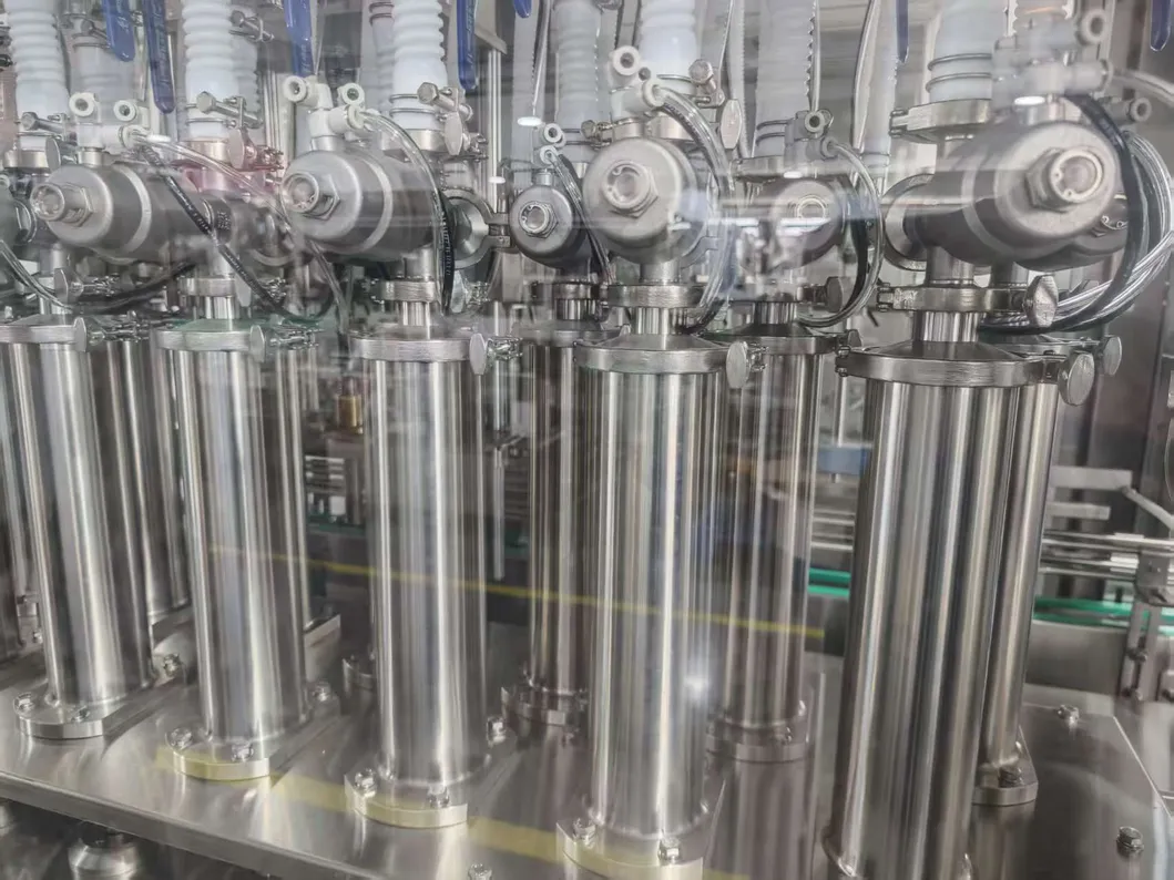 Piston Pump Detail