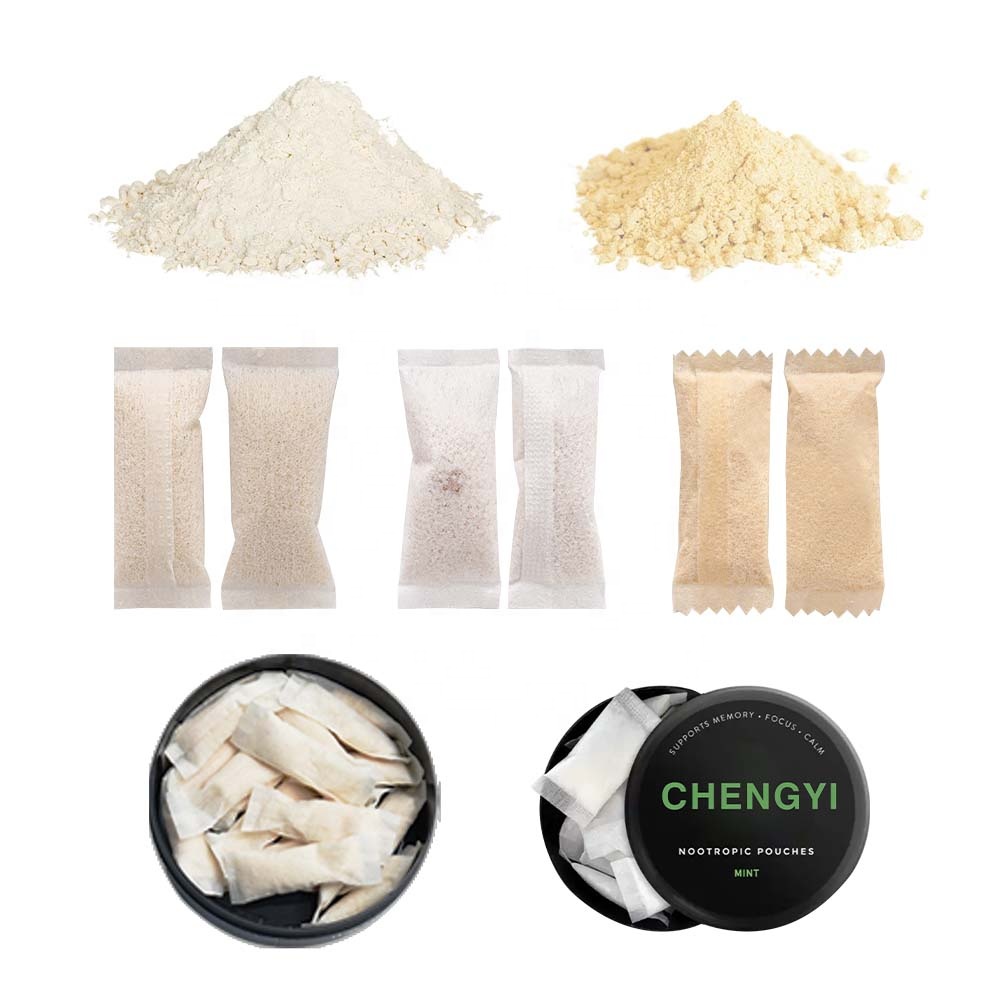 Automatic 2 Lane High Speed Filling &amp; Gluing Small Snus Powder Pouch Packaging Machine 0.3g-1g High Productivity