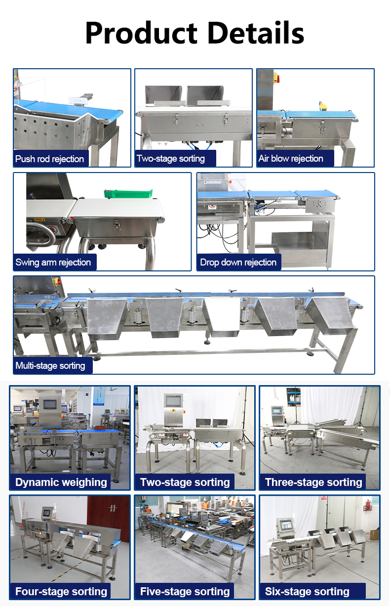 Conveyor Belt Weight Check Weigher Feature 4