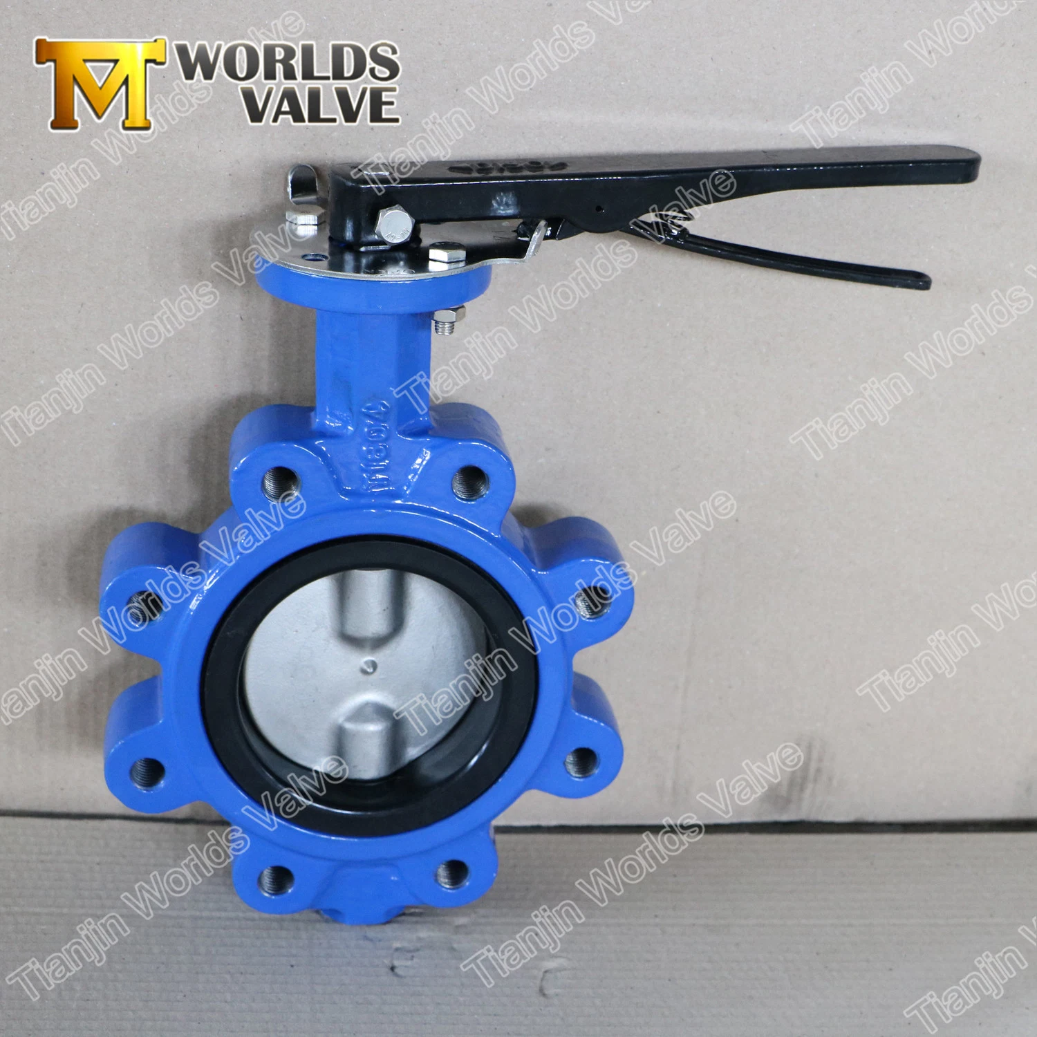 Lug Type Butterfly Valves with Two PCS Stem Pn6-Pn10-Pn16