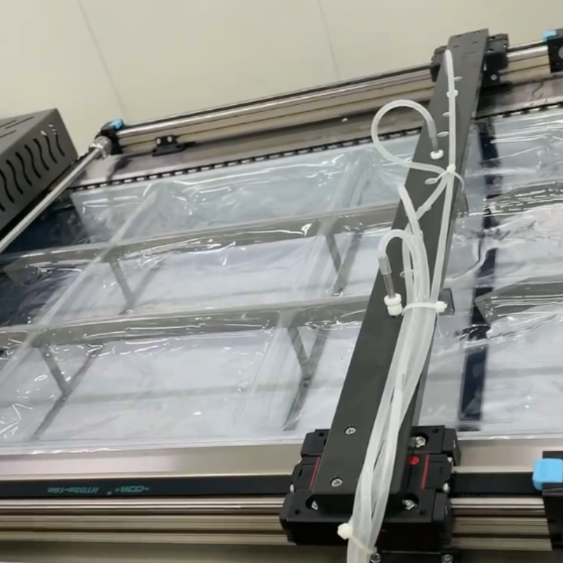 Elemotion Multifunctional Vegetable Fruit Meat Thermoforming Machine Food Fish Packaging Thermoforming Vacuum Packing Machine