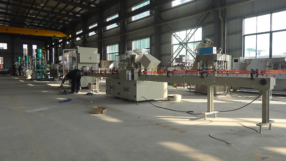 Anti-Corrosive PP Piston Servo Motor Acid Bottle Liquid Filling Packing Machine