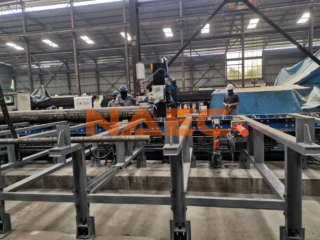 Pipe Conveying System