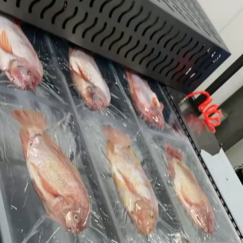 Elemotion Multifunctional Vegetable Fruit Meat Thermoforming Machine Food Fish Packaging Thermoforming Vacuum Packing Machine