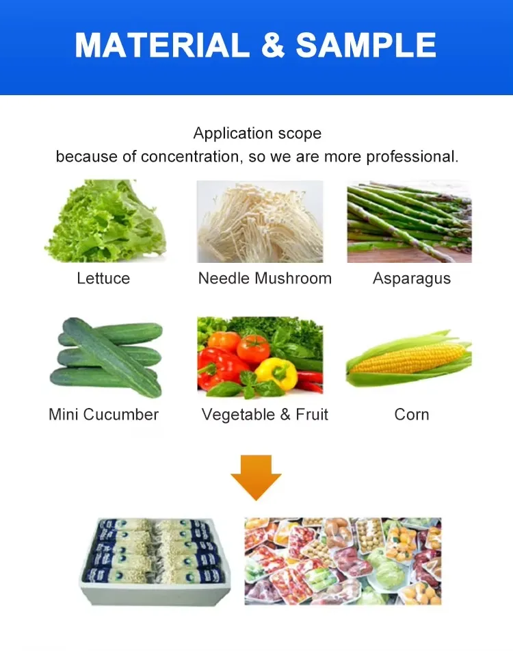 Pillow - Type Horizontal Automatic Biscuit, Candy, Soap and Hard Candy Tissue Paper Packaging Machine.
