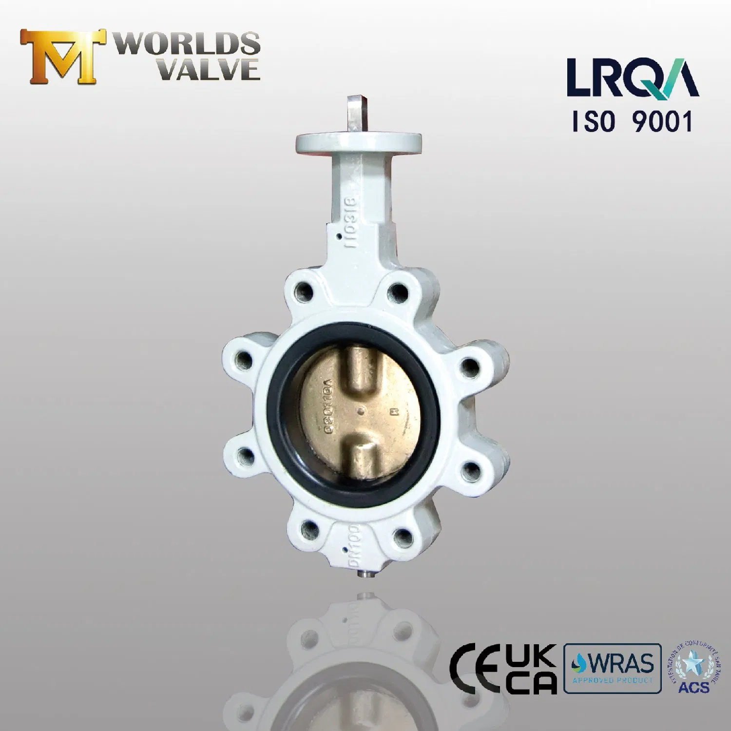 Lug Type Butterfly Valves with Two PCS Stem Pn6-Pn10-Pn16