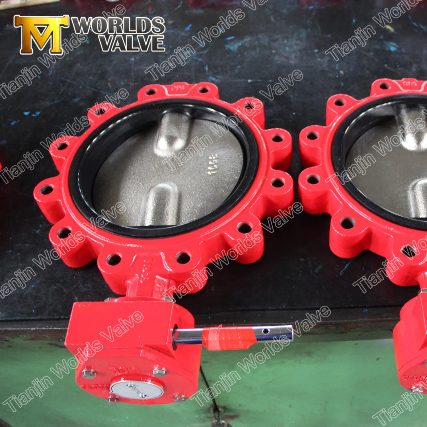 Lug Type Butterfly Valves with Two PCS Stem Pn6-Pn10-Pn16