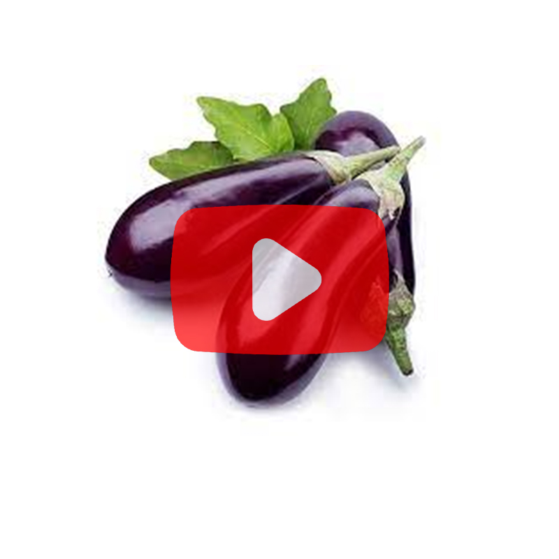 Frozen Eggplant Packaging