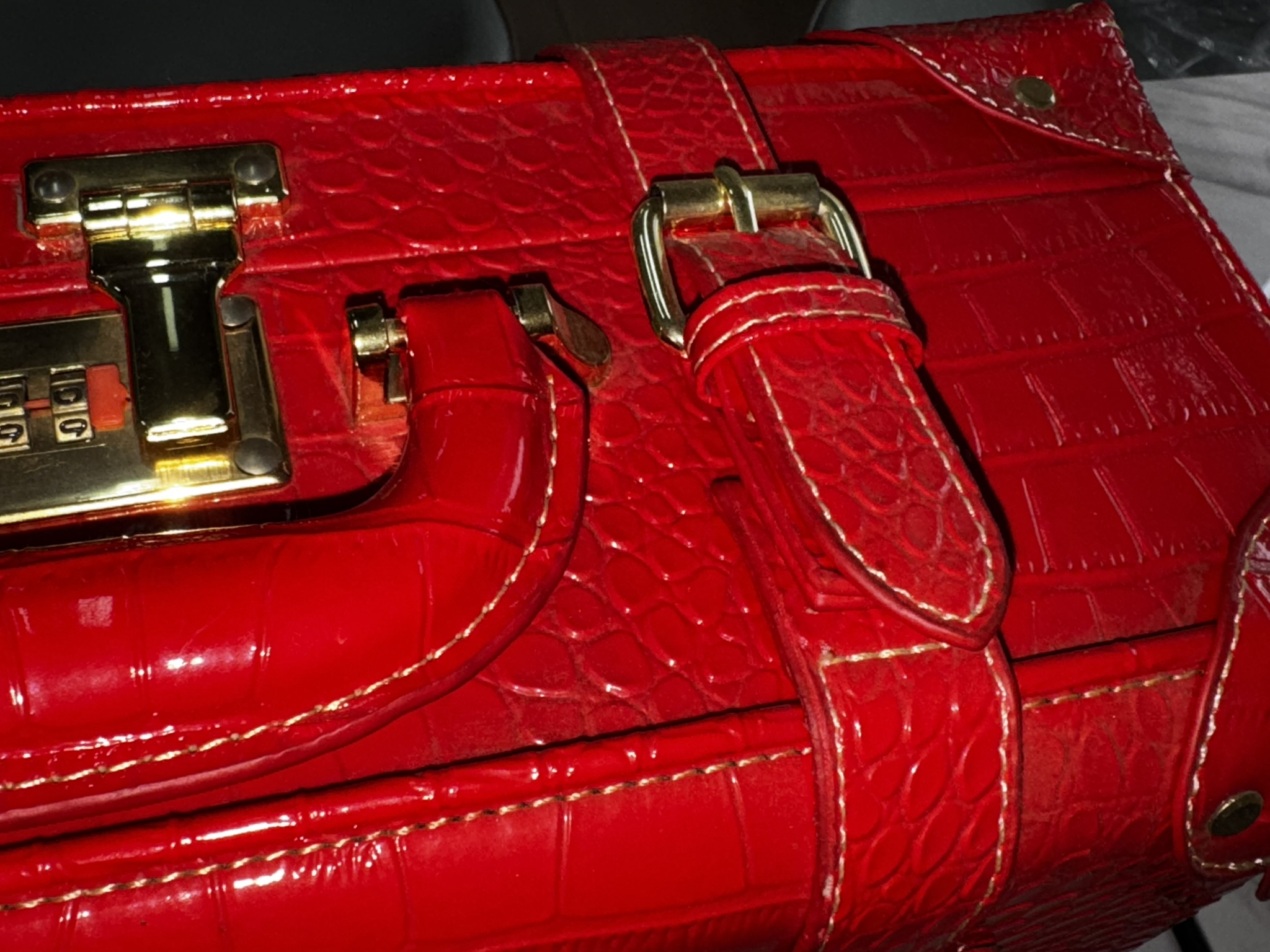 Custom Red Crocodile Embossed PU Leather Cosmetic Suitcase Makeup Organizer Zipper Large Combination Lock Luxury Beauty Gift
