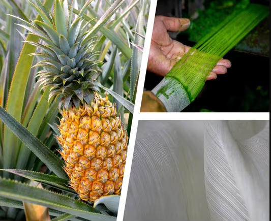 Plant Based Fabrics