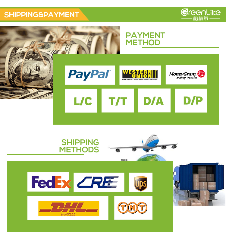 Shipping Options