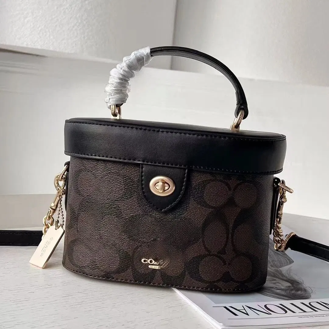 Premium Small Vanity Handbag Ladies Fashion Lock Closure Shoulder Bag