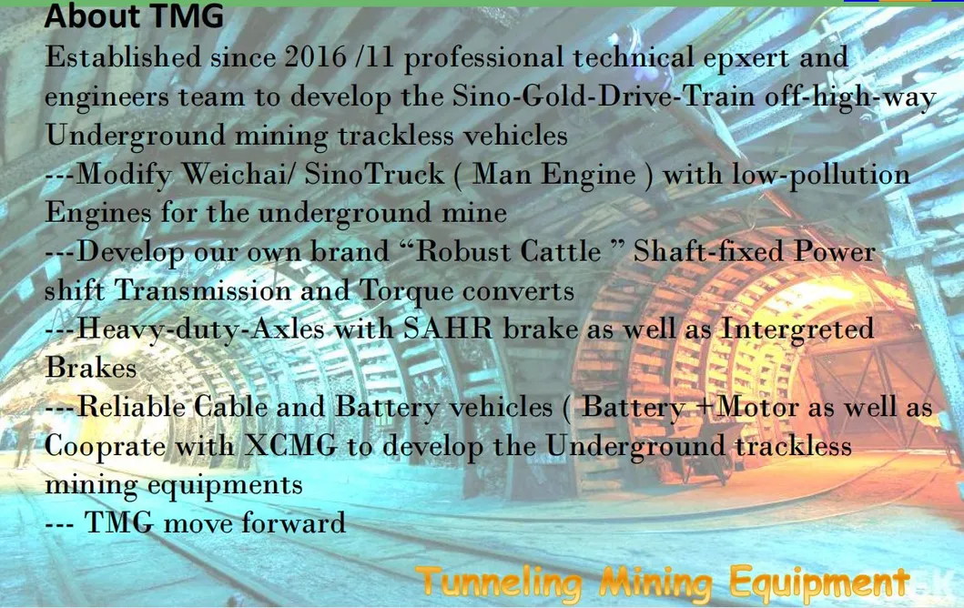 Solução de Sistema de Transmissão de Trem de Força Técnico Avançado, Conversor de Torque e Eixo da China