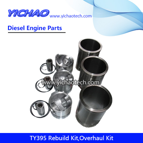 Ty395 Kit de Reparo de Sobrecarga de Motor Diesel Peças de Reposição para Jiangdong Yangdong Changchai Laidong Jinma Foton Dongfeng Motor de Trator